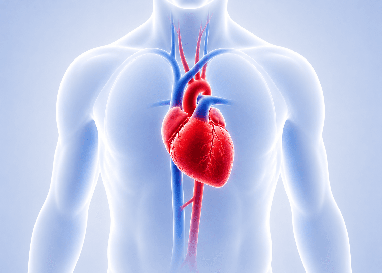Update Kardiologie